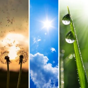 An Introduction to the Doshas with Michelle Robinson Aum At Home