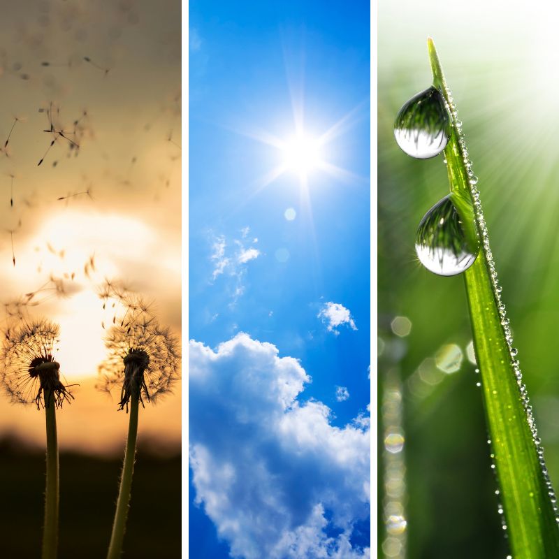 An Introduction to the Doshas with Michelle Robinson Aum At Home